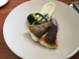IMG_0542(1)cp.jpg
